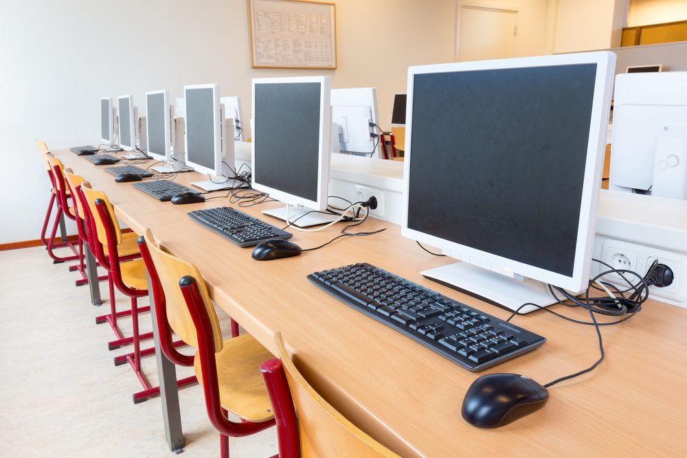 Grades 10 and 11 at LENS